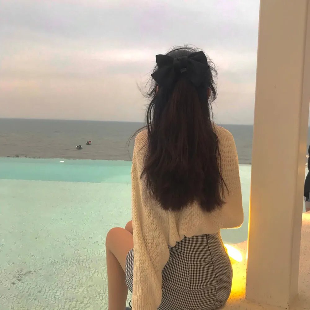 阿拉伯人在美国封面